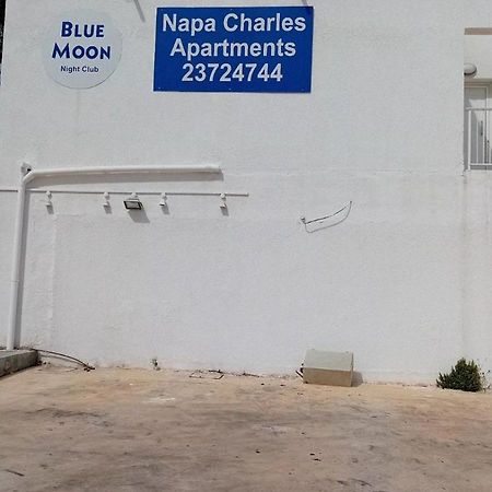 Napa Charles Apts ไอยานาปา ภายนอก รูปภาพ